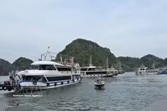 En el muelle turístico de Cai Beo, los barcos esperan a los turistas que visitan la bahía de Lan Ha. Foto: VNA
