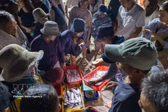 El ritmo sereno del mar en el mercado de pescado de Tam Tien 