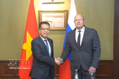 El viceprimer ministro ruso Dmitry Chernyshenko y el embajador de Vietnam en Rusia, Dang Minh Khoi (Fuente: VNA)
