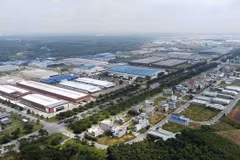 Un parque industrial Vietnam-Singapur en la provincia de Binh Duong (Fuente: VNA)