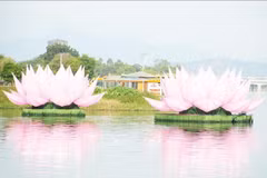 Dos de las siete flores de loto fueron lanzadas al río Perfume en la ciudad de Hue, como parte de los preparativos para la celebración del cumpleaños de Buda (calendario budista 2570). Foto: VNA