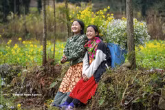 Vietnam se está dando a conocer como un destino seguro, ecológico y acogedor, con una rica identidad cultural. (Fuente: VNA)