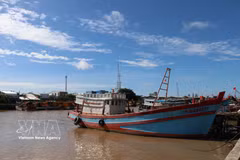 Los barcos están anclados en el puerto pesquero de Dinh An, comuna de Dai An, provincia de Vinh Long. Foto: VNA