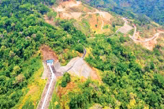 Desarrollo forestal en la comuna de Phan Son, provincia de Lam Dong. (Foto: nhandan.vn)