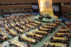 La reelección de Vietnam como miembro del Consejo de Derechos Humanos de la ONU para el mandato 2026-2028 refleja el reconocimiento de la comunidad internacional al prestigio del país indochino (Fuente: VNA)
