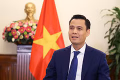 El viceministro de Relaciones Exteriores, Dang Hoang Giang (Fuente: Cancillería de Vietnam)