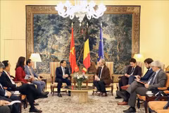 El viceprimer ministro Bui Thanh Son trabaja con el presidente de la Cámara de Representantes belga, Peter De Roover. Foto: VNA