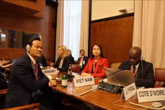 Durante la 16.ª Conferencia de las Naciones Unidas sobre Comercio y Desarrollo (UNCTAD 16) en Ginebra, la vicecanciller vietnamita Nguyen Minh Hang presenta tres recomendaciones clave de política (Fuente: VNA)