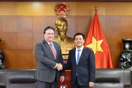 El ministro de Industria y Comercio, Nguyen Hong Dien, sostiene una reunión con el embajador de Washington en Hanoi, Marc E. Knapper (Fuente: VNA)