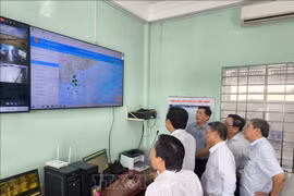 El Comité Popular de la provincia survietnamita de Vinh Long inspecciona las acciones para combatir la pesca ilegal (Fuente: VNA)