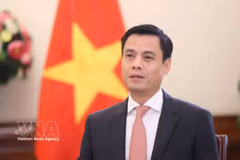 El viceministro de Relaciones Exteriores, Dang Hoang Giang (Fuente: VNA)