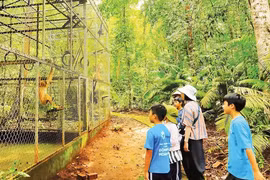 Jóvenes voluntarios acompañan y cuidan a los animales rescatados en el Parque Nacional Bu Gia Map. Foto: nhandan.vn