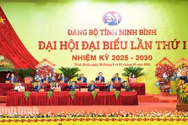 En la primera asamblea partidista de la provincia de Ninh Binh (Fuente: VNA)
