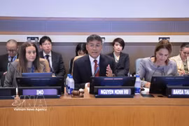 El viceministro permanente de Relaciones Exteriores de Vietnam, Nguyen Minh Vu, habla en la cita (Fuente: VNA)