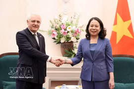 La vicepresidenta de Vietnam, Vo Thi Anh Xuan, recibe al embajador de Argentina en Hanoi, Marcos Antonio Bednarski (Fuente: VNA)
