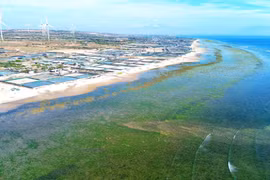 El distrito de Thuan Nam, provincia de Ninh Thuan, fue elegido como sede para la construcción de la central nuclear Ninh Thuan 1. (Foto: VNA)
