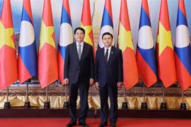 El presidente vietnamita, Luong Cuong (izquierda) se reúne con el presidente de la Asamblea Nacional de Laos, Saysomphone Phomvihane (Fuente: VNA)