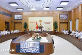 En una reunión del Comité Permanente de la Asamblea Nacional (Fuente: VNA)