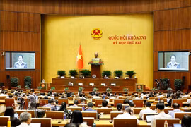 La ministra de Cultura, Deportes y Turismo, Lam Thi Phuong Thanh, autorizada por el Primer Ministro, presentó el proyecto de Ley de Desarrollo de la Industria Cultural. Foto: VNA