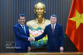 El primer ministro vietnamita Le Minh Hung recibe al ministro de Estado de Asuntos Exteriores de India, Pabitra Margherita (Fuente: VNA)