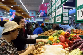 Foto ilustrada (Fuente: VietnamPlus)