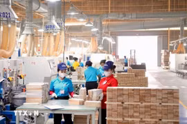 Gobierno vietnamita lanza plan de acción para fortalecer el sector privado