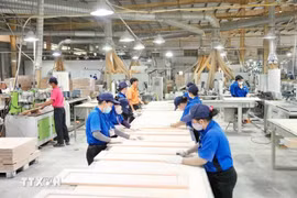 La Resolución 68 promueve el desarrollo del sector económico privado (Fuente: VNA)