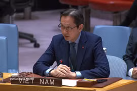 El embajador Do Hung Viet, representante permanente de Vietnam ante las Naciones Unidas. Foto: VNA