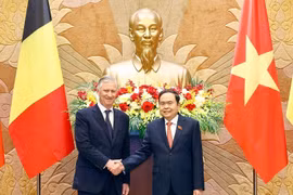 El presidente de la Asamblea Nacional de Vietnam, Tran Thanh Man, sostiene una reunión con el Rey de Bélgica, Felipe (Fuente: VNA)
