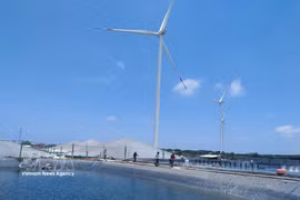 Modelo de desarrollo de la acuicultura de camarones de alta tecnología y la energía eólica en la comuna de Thanh Hai, provincia de Vinh Long. Foto: VNA