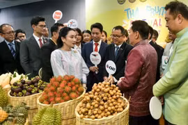 La primera ministra de Tailandia, Paetongtarn Shinawatra, anuncia un plan integral de apoyo para ayudar a los fruticultores locales (Fuente: Thai Government House)