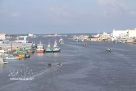 El estuario del río Doc, un bullicioso centro para embarcaciones pesqueras en la provincia de Ca Mau. (Foto: VNA)