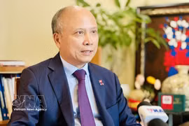 Dinh Toan Thang, exembajador de Hanoi en Francia (Fuente: VNA)