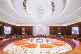 Reunión de Ministros de Asuntos Exteriores de los BRICS en Nueva Delhi, India, 14 de mayo de 2026. Foto: ANI/VNA