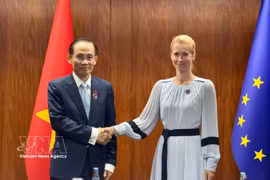 El ministro de Asuntos Exteriores, Le Hoai Trung, y Kaja Kallas, vicepresidenta de la Comisión Europea y Alta Representante de la UE para Asuntos Exteriores y Política de Seguridad. Foto: VNA