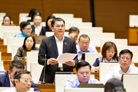 El diputado Duong Khac Mai habla en la sesión (Fuente: VNA)