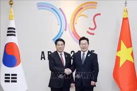 El presidente de Vietnam, Luong Cuong (izquierda), y su homólogo de Corea del Sur, Lee Jae Myung (Fuente: VNA)