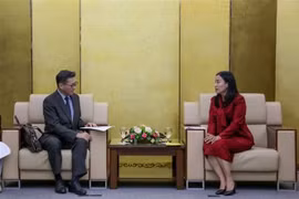 La vicepresidenta del Comité Popular de Da Nang, Nguyen Thi Anh Thi, recibe al cónsul general niponés en esta urbe (Fuente: VNA)
