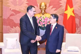 El vicepresidente de la Asamblea Nacional (Parlamento) vietnamita, Nguyen Duc Hai, recibe a Salah Djegloul (Fuente: VNA)