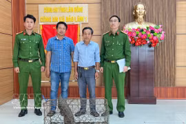 El animal, un ejemplar adulto de 52 cm de largo y más de 5 kg de peso, fue entregado por Doan Hong Hai, residente en la aldea Loc Quang (Fuente: VNA)