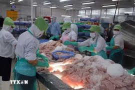 Los bienes exportados por Vietnam a Brasil incluyen principalmente productos pesqueros (Fuente: VNA)
