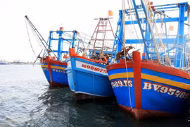 Barcos pesqueros en Dong Thap (Fuente: VNA)