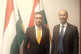 El subsecretario de Estado para el Desarrollo de las Relaciones Orientales del Ministerio húngaro de Asuntos Exteriores y Comercio, Stifter Adam, y el embajador Bui Le Thai (Fuente: VNA)