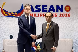 El canciller vietnamita Le Hoai Trung y su homólogo neerlandés, Tom Berendsen (Fuente: VNA)