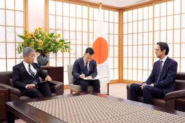 En el encuentro entre el embajador Do Hung Viet y ministro de Relaciones Exteriores de Japón, Iwaya Takeshi (Fuente: VNA)