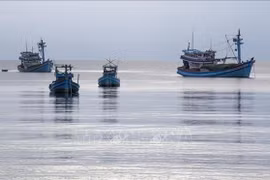 Barcos pesqueros anclados en las aguas de la Zona Económica Especial de Phu Quoc, provincia de An Giang (Foto: VNA)