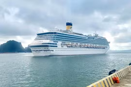 Un crucero visita la bahía de Ha Long, en la provincia nororiental de Quang Ninh. (Foto: VNA)