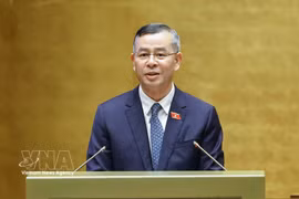 El ministro de Finanzas, Ngo Van Tuan (Fuente: VNA)