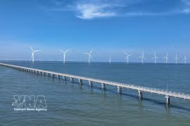 La central eólica Hoa Binh 1 + 2, ubicada en la comuna de Vinh Hau, provincia de Ca Mau, produce aproximadamente 400 millones de kWh al año, contribuyendo a la seguridad energética nacional. Foto: VNA