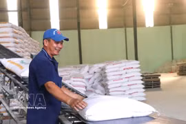 Actividades de producción en la empresa Tan Dong Tien en la provincia de Tay Ninh. Foto: VNA